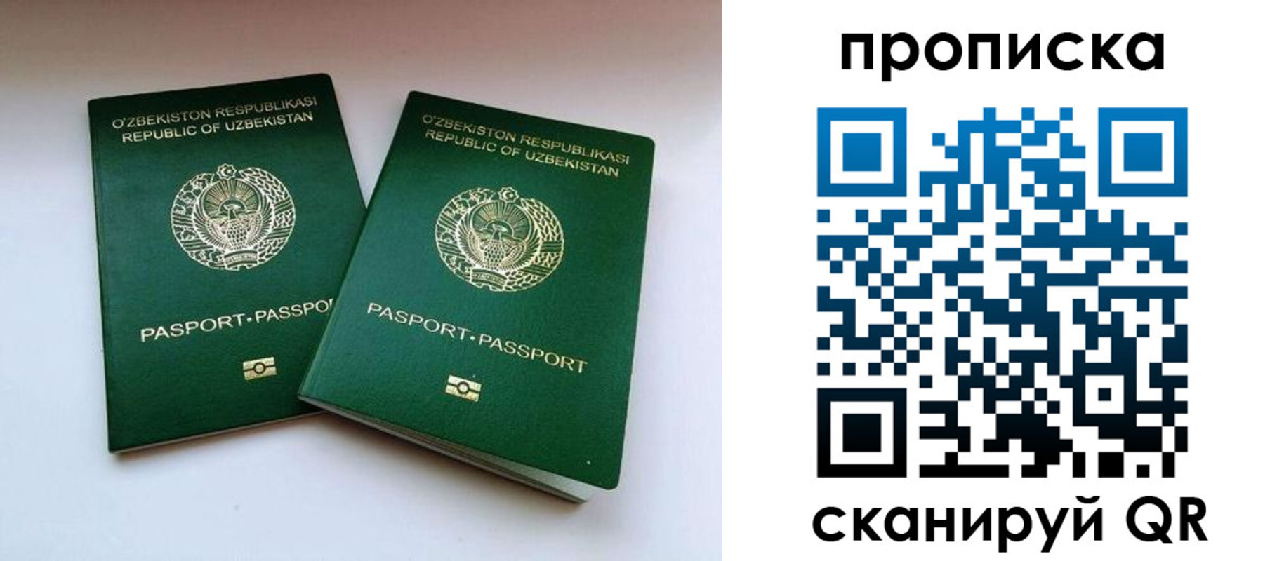 прописка поиск в Торжоке